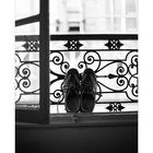 Brave Pariswanderschuhe