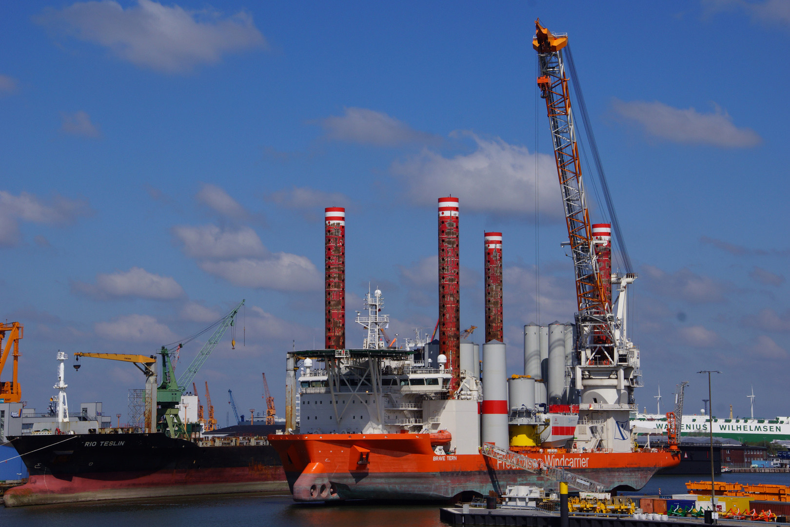 Brave Tern in Bremerhaven