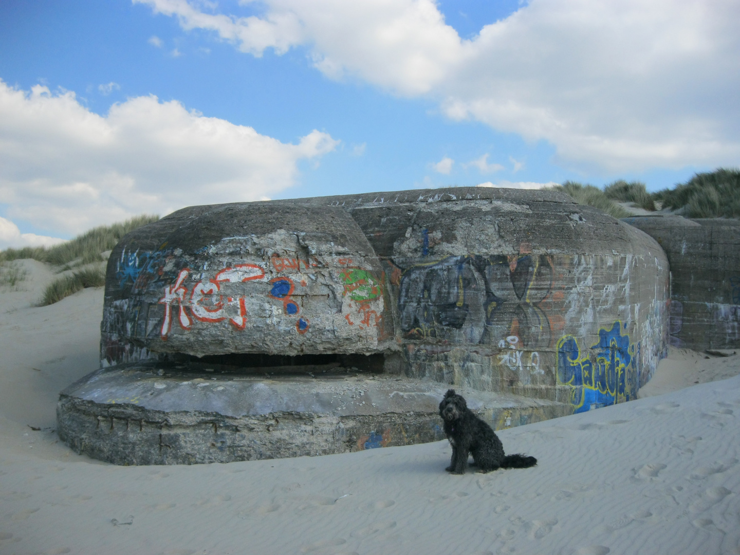 Bray Dunes - mit Hund-