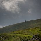 Bray Head