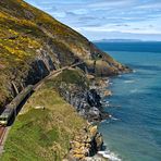 Bray Head