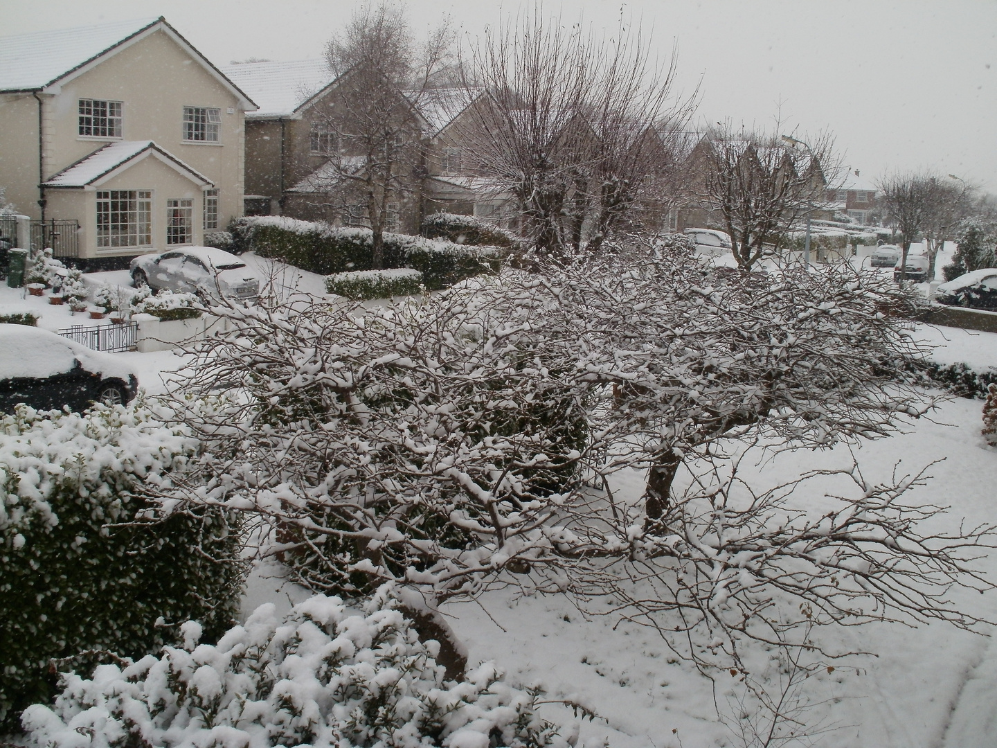 Bray in grip of snow