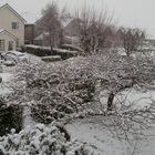 Bray in grip of snow