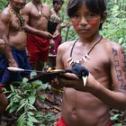 Brazil - hunting in the rain forest