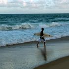 BRAZILIAN SURFER