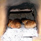 Bread Oven