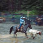 Break Away Calf Roping