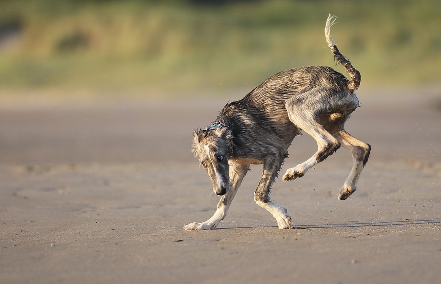 Break-Dancer