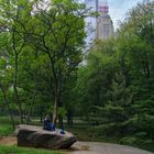 Break In Central Park