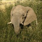 breakfast in Namibia