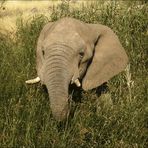 breakfast in Namibia