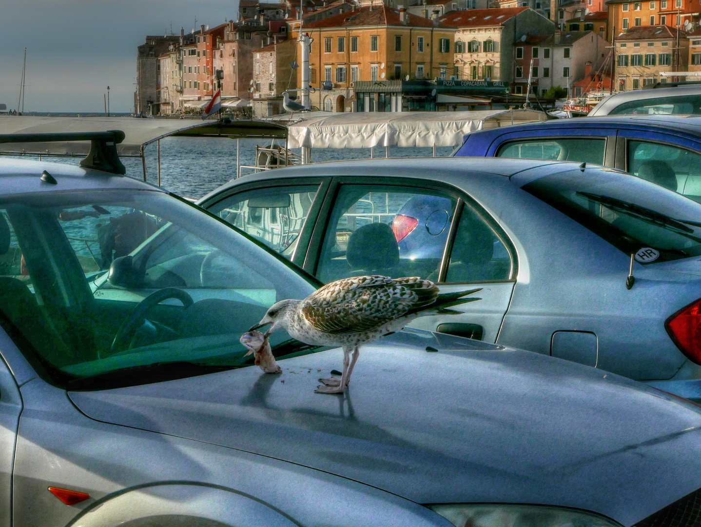 Breakfast in Rovinj