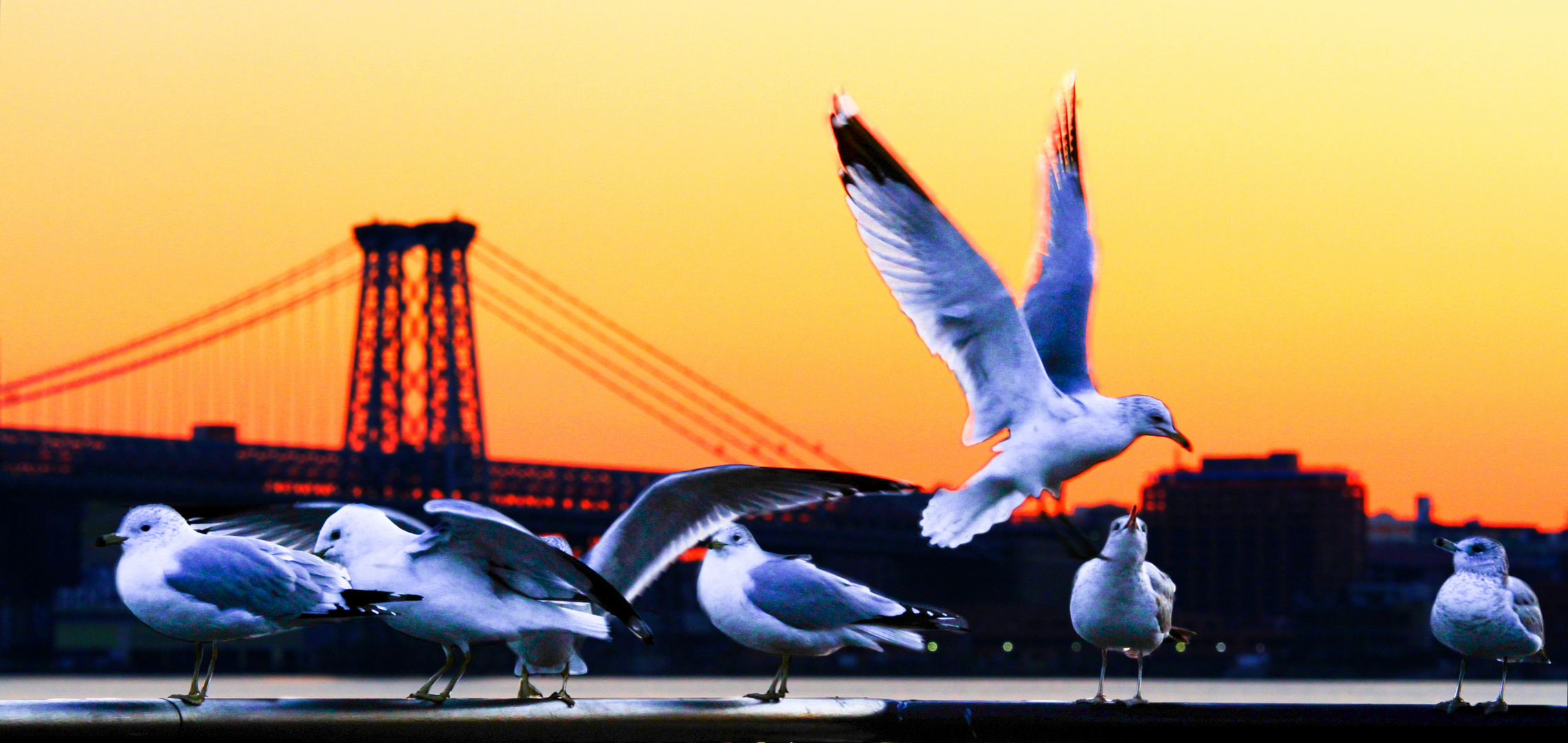 Breakfast Under Brooklyn Bridge