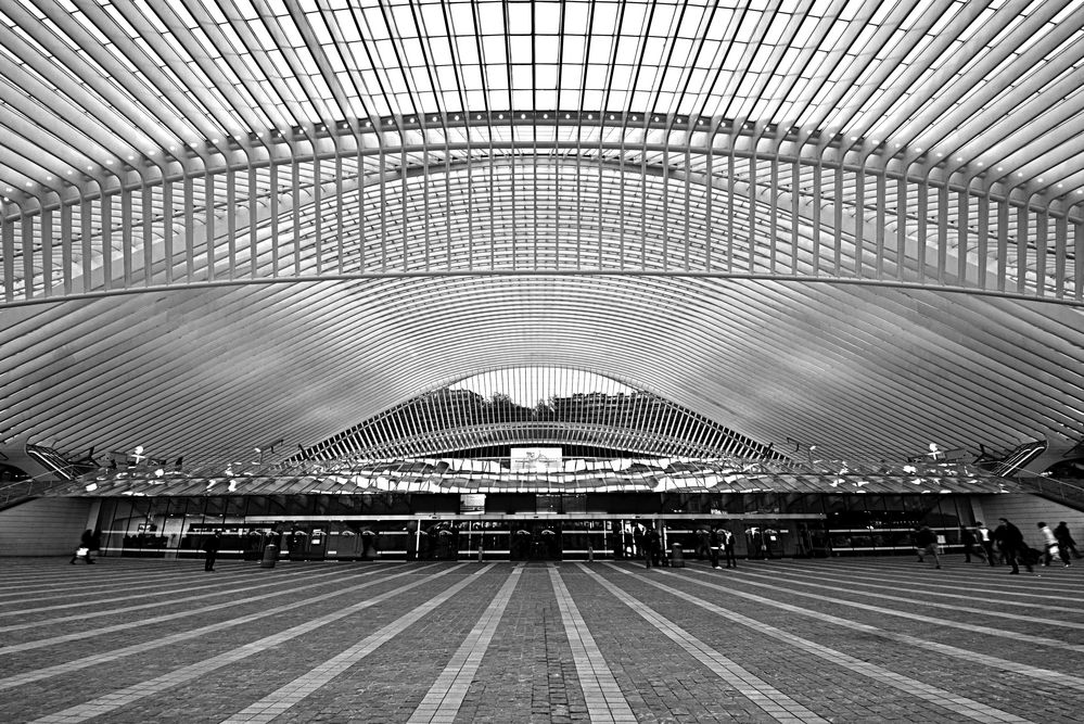 Breathtaking roof