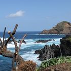 Brechende Wellen auf Madeira