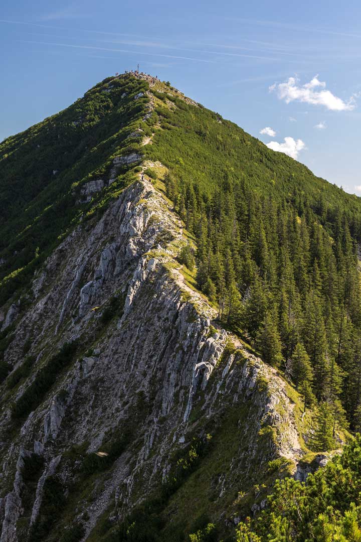 Brecherspitze