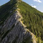 Brecherspitze