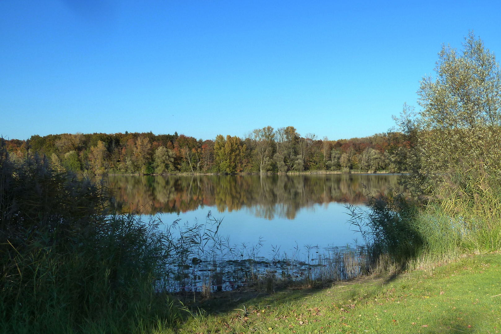 Brechtsee Huttenheim, Herbst