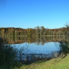 Brechtsee Huttenheim, Herbst