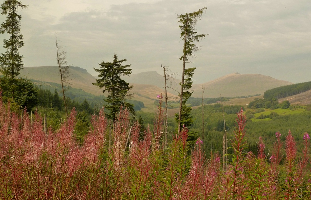 Brecon Beacons