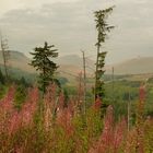 Brecon Beacons