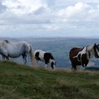 Brecon Beacons Wales