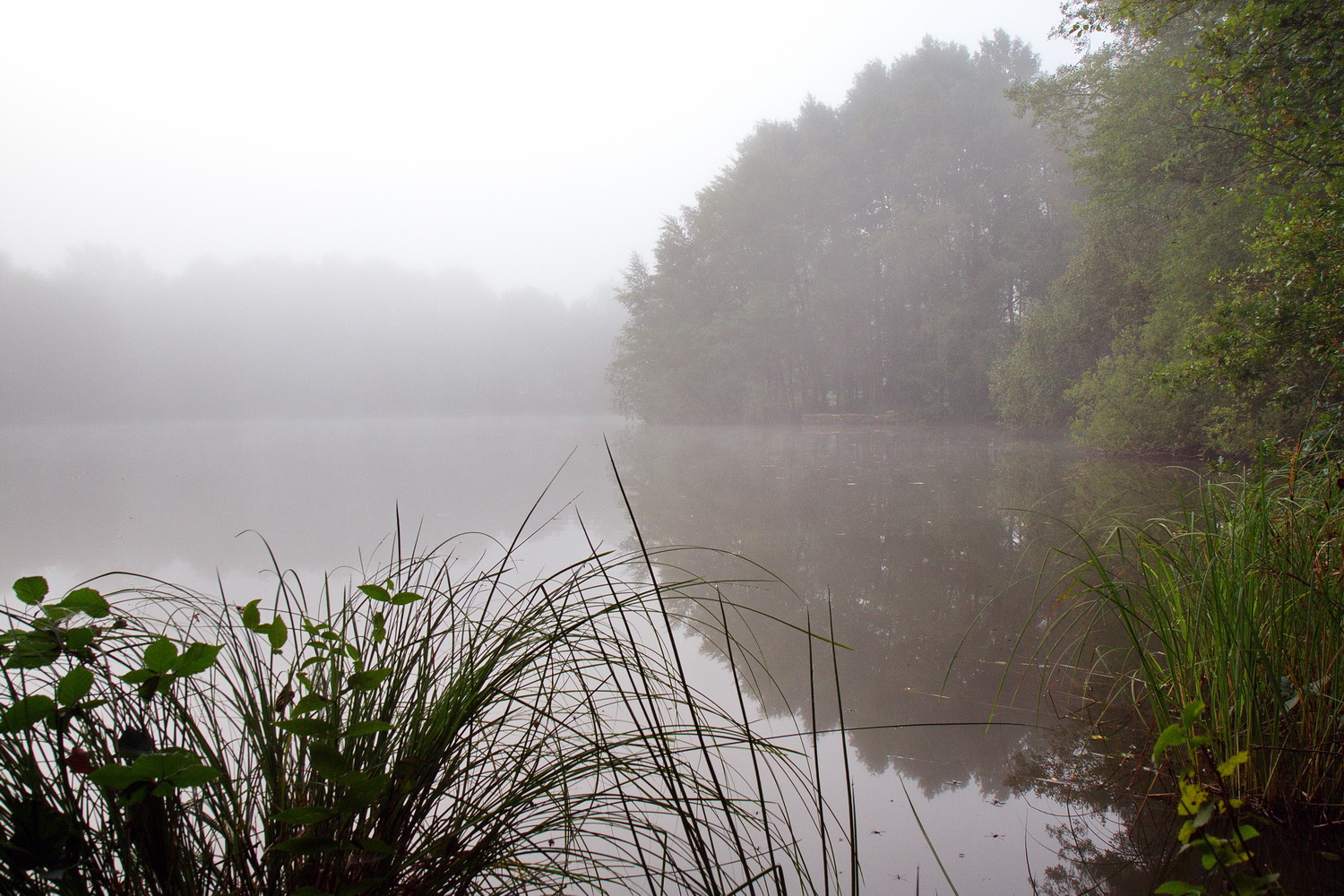 Bredenbecker Teich