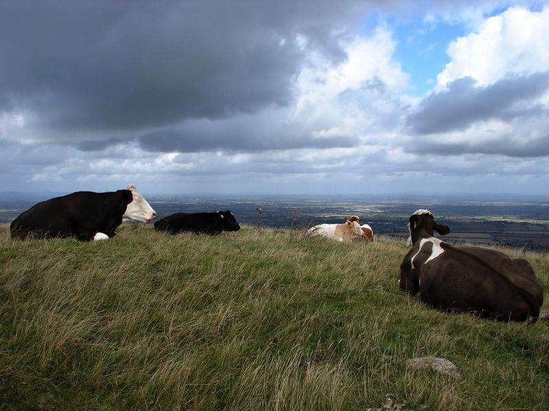 Bredon Hill