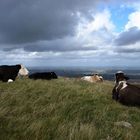 Bredon Hill