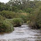 Breede River