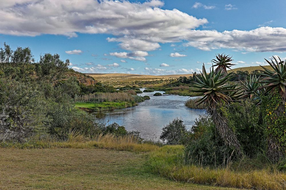 Breede River_5 Foto & Bild africa, southern africa, south africa