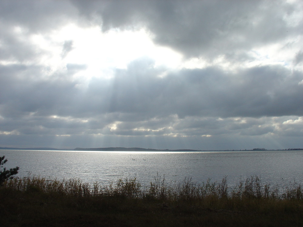 Breeger Bodden