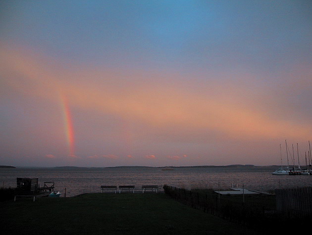 Breeger Bodden / Rügen unwirklich und geheimnisvoll