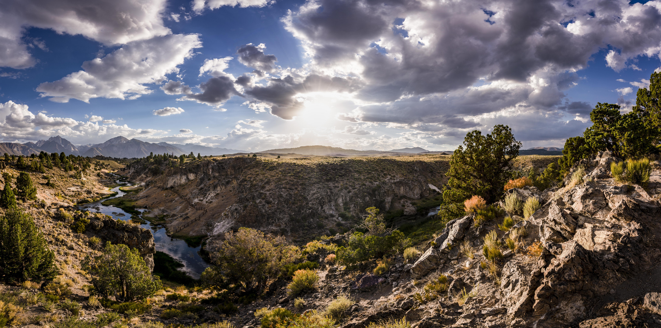 Brees Lookout