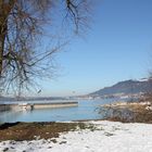 Bregenz Hafen