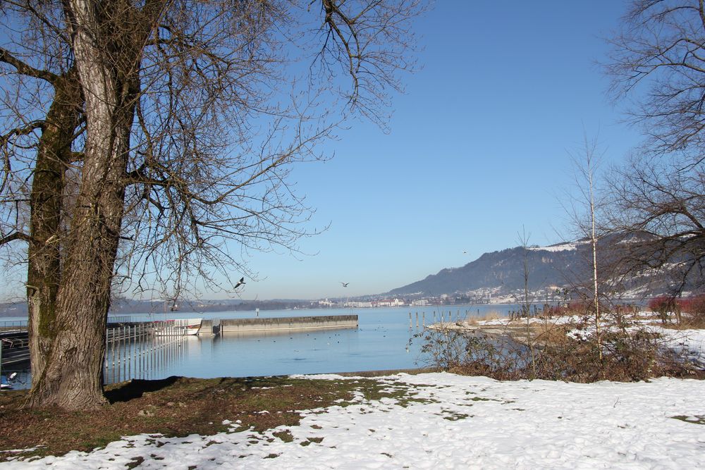 Bregenz Hafen