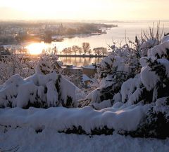 Bregenz im März