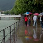 Bregenz im Regen