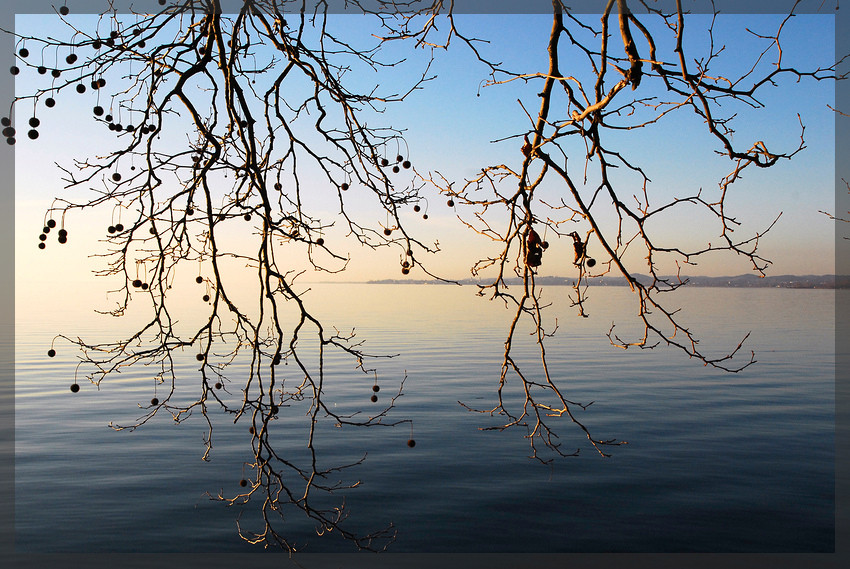 bregenz im winter - na ja zumindest in der winterzeit ( 9. februar )