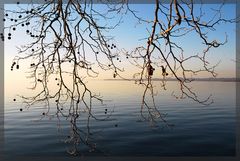 bregenz im winter - na ja zumindest in der winterzeit ( 9. februar )