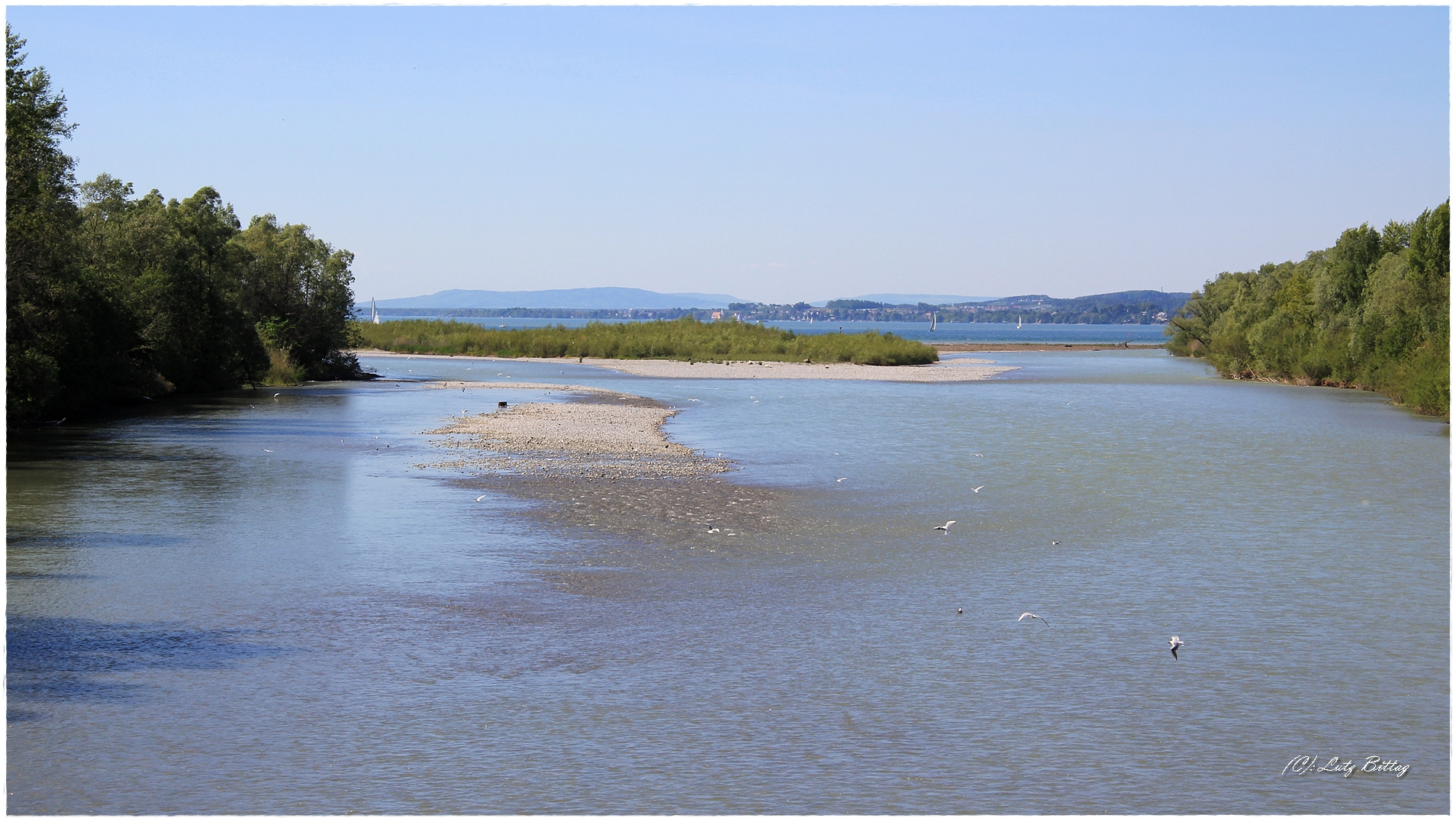 Bregenzer Ach - Die Mündung