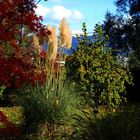 Bregenzer Herbst - Garten
