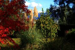 Bregenzer Herbst - Garten