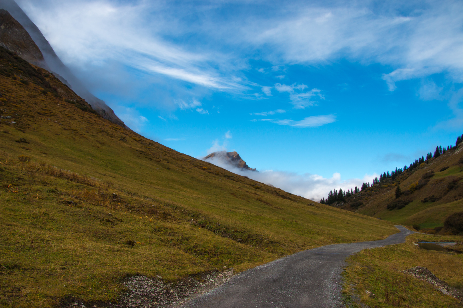 Bregenzerwald