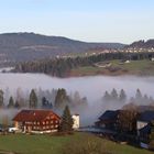 Bregenzerwald im Nebelmeer!