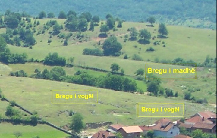 bregu i vogel bregi i madh