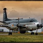 Breguet 1150/Elint Atlantic, Nordholz 2010 (HDR)