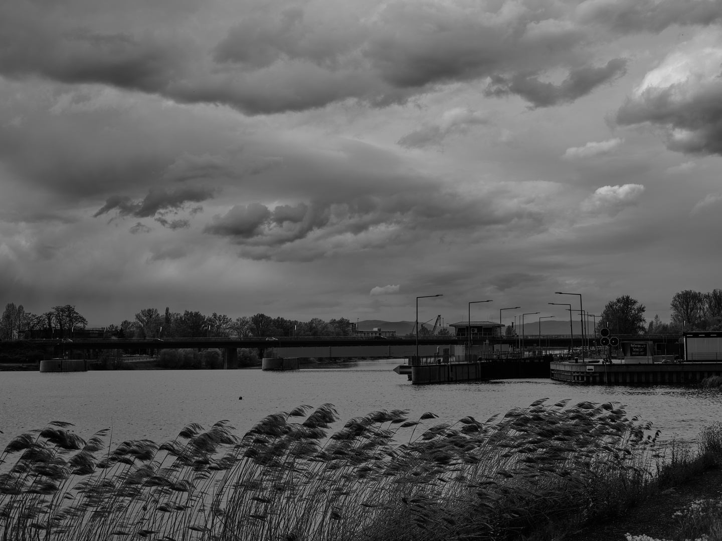 breisach-am-rhein-foto-bild-architektur-deutschland-europe-bilder