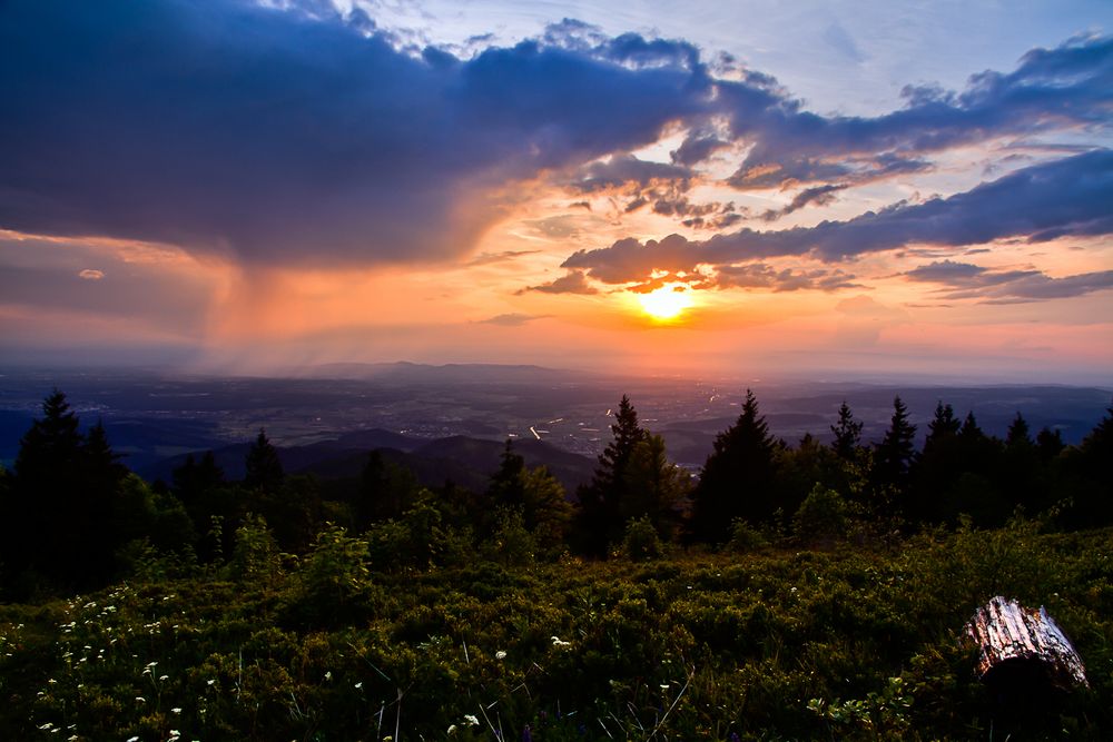 Breisgau im Abendlicht