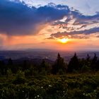 Breisgau im Abendlicht